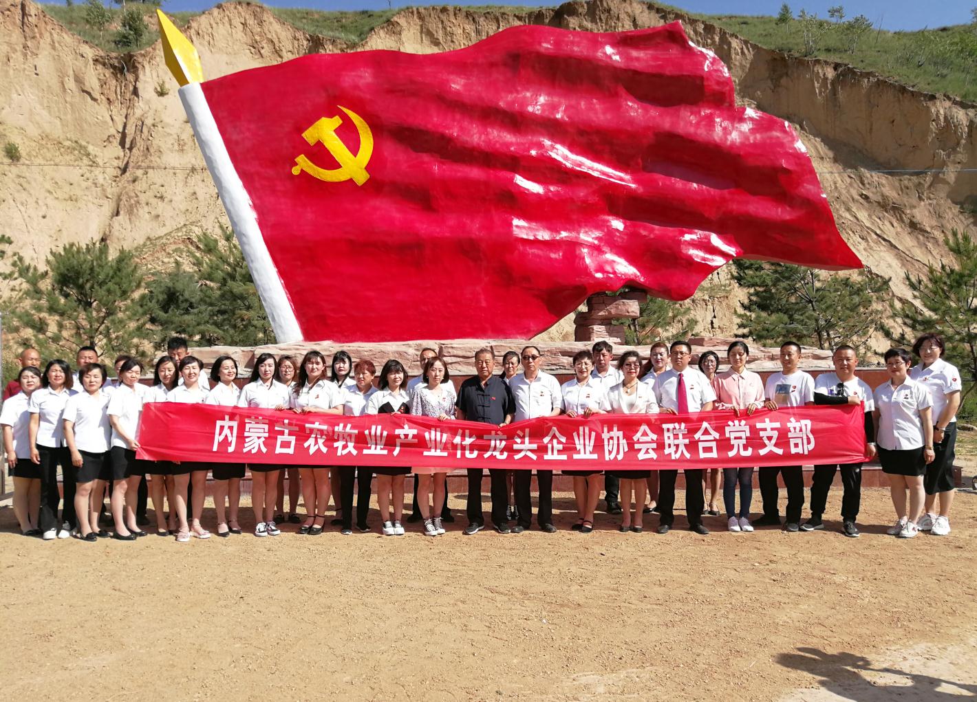 內(nèi)蒙古農(nóng)牧業(yè)產(chǎn)業(yè)化龍頭企業(yè)協(xié)會走進石人灣村開展“辦實事、解難題，送溫暖，傳黨恩”公益活動